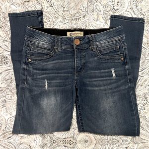 Democracy “Ab” Technology Skinny Jeans